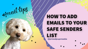 add email to safe sender list