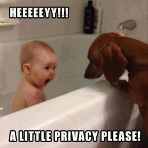 protect privacy online